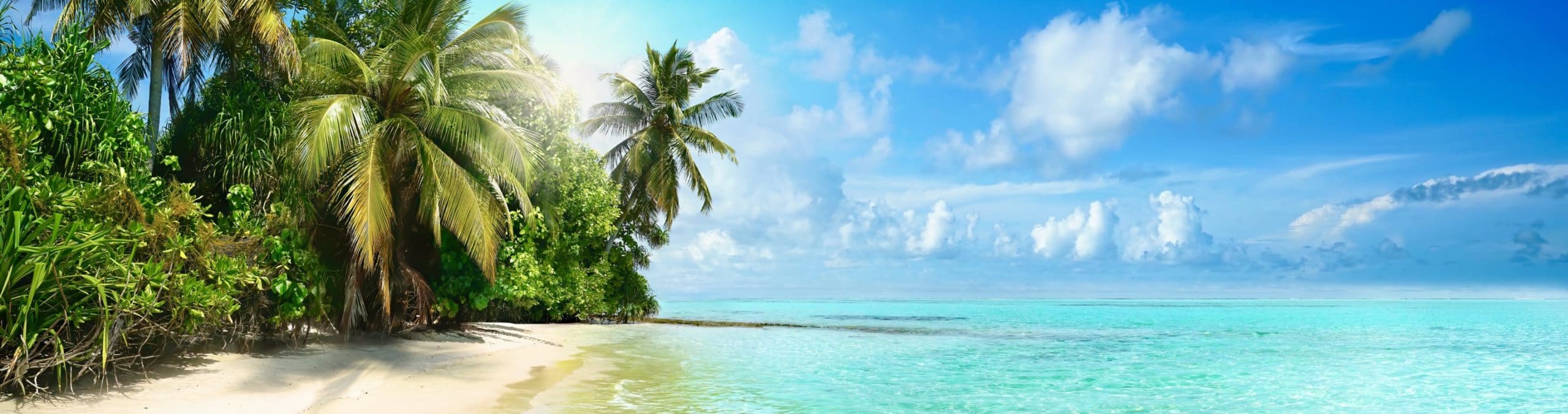 7 Deserted island books for an escape