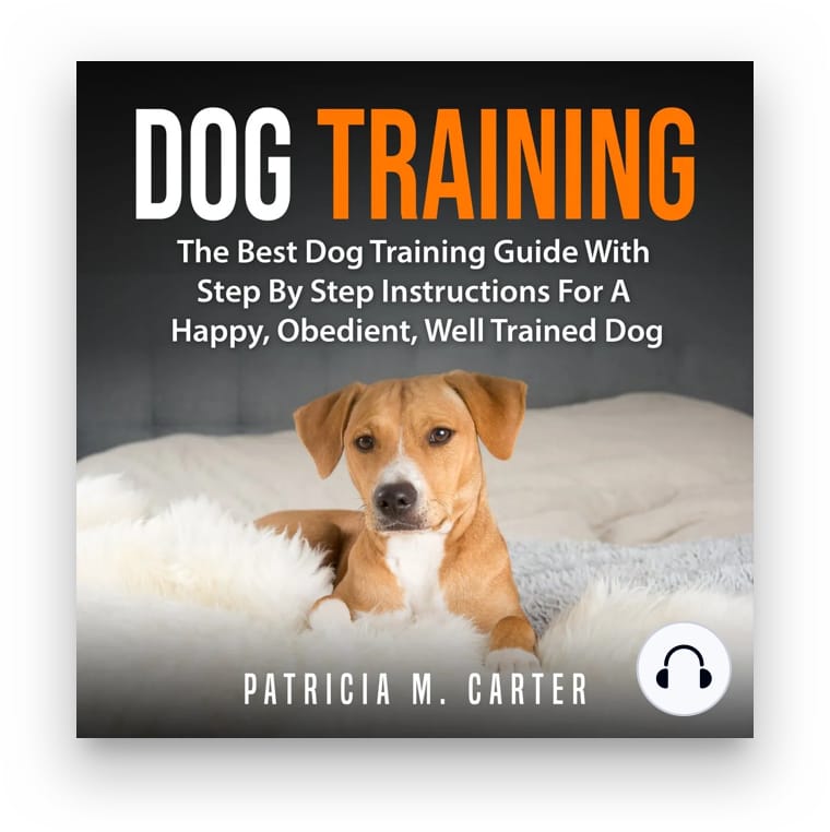 10 titles perfect for dog owners